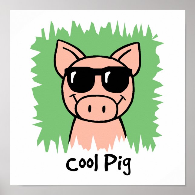 Cooles Schwein Poster (Vorne)