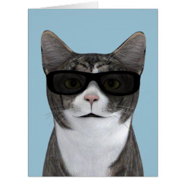 Coolste Katze mit schwarzer Sonnenbrille