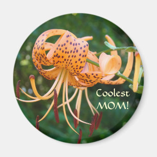 COOLSTE MAMA! Tiger Lily Maget Kühlschrank Magnete Magnet