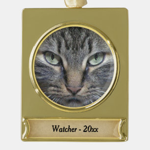 Coon Cam Eyes Gold Name und Jahr Banner-Ornament Gold