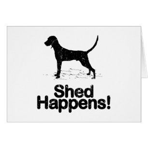 Coonhound de Redbone
