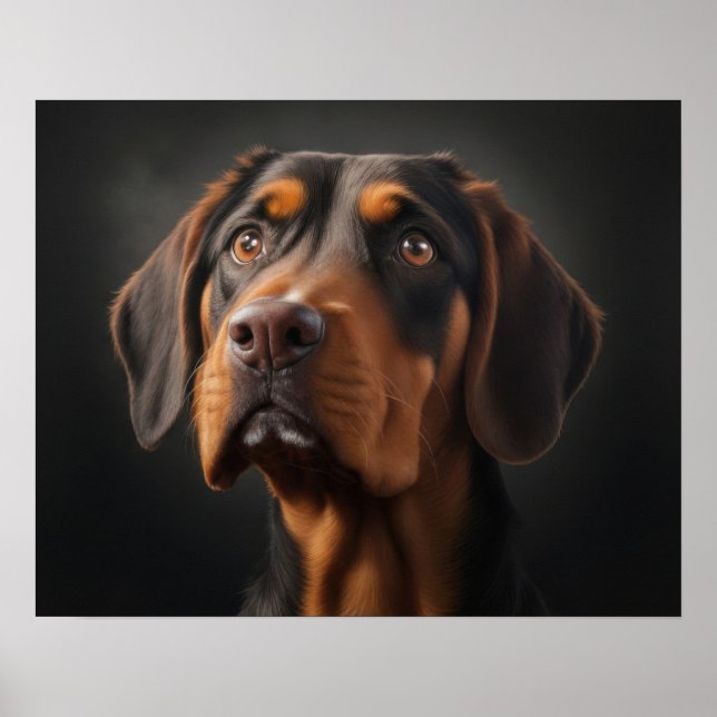 Coonhound-Hund Poster (Vorne)
