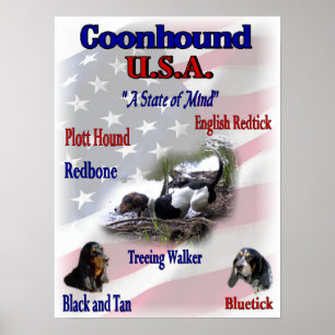 Coonhound Liebhaber Geschenke Poster