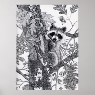 Coonie Poster