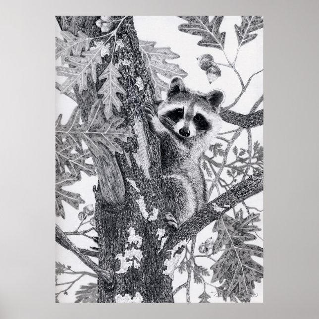 Coonie Poster (Vorne)