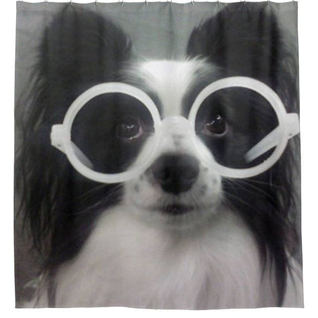 COOP DUSCHVORHANG (Vorderseite)