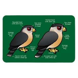 Coop / Sharpie Magnet