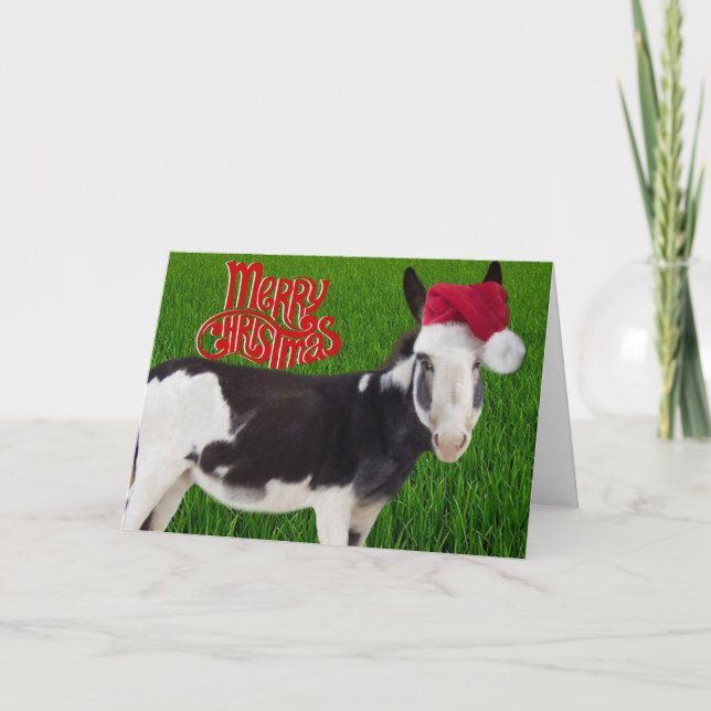 Cooper Donkey Weihnachten Karte (Vorderseite)