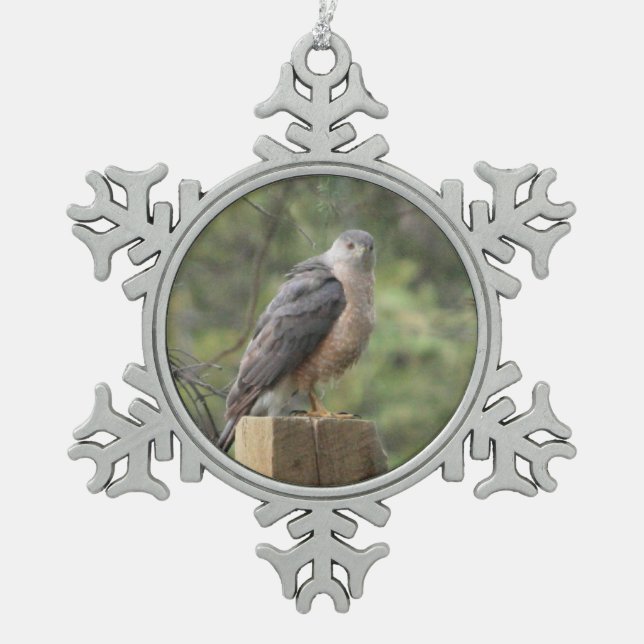 Cooper-Hawk Schneeflocken Zinn-Ornament (Vorderseite)