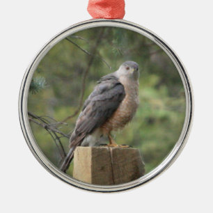 Cooper-Hawk Silbernes Ornament