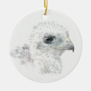 Coopers Hawk Chick Keramik Ornament