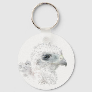 Coopers Hawk Chick Schlüsselanhänger