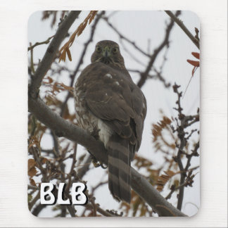 Cooper's Hawk in Tree Your Initials Mouse Pad Mousepad