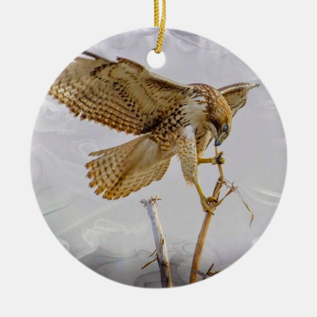 Coopers Hawk Keramik Ornament (Vorne)