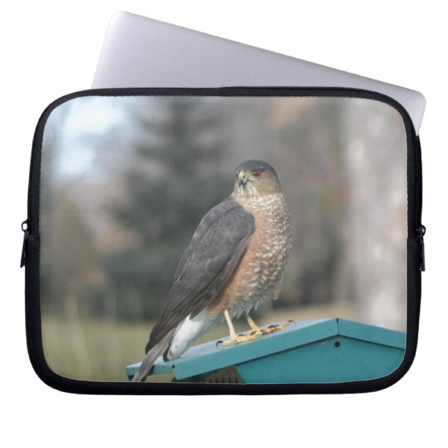 Coopers Hawk Laptopschutzhülle (Vorderseite)