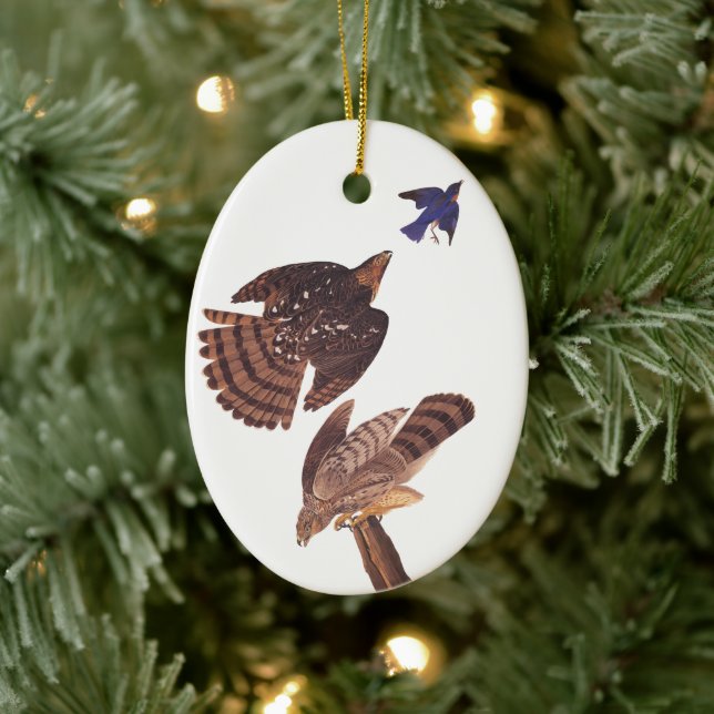 Cooper's Hawk Oval Weihnachtsschmuck (Baum)