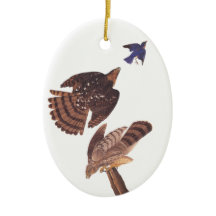 Cooper's Hawk Oval Weihnachtsschmuck