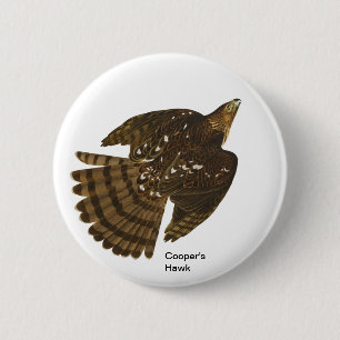 Cooper's Hawk von John James Audubon, Hawk Bird Button