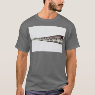 CoosaWelchie South Carolina Alte Bahn T-Shirt