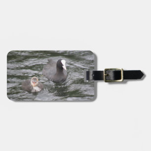 Coot and Chick Custom Luggage Tag Gepäckanhänger