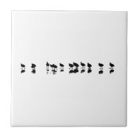 Coot Design - Schwarz auf Weiß