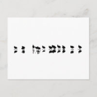 Coot Design - Schwarz auf Weiß