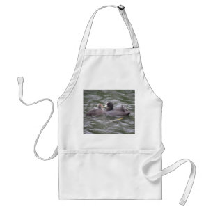 Coot Fütternd Hungerkind Schürze