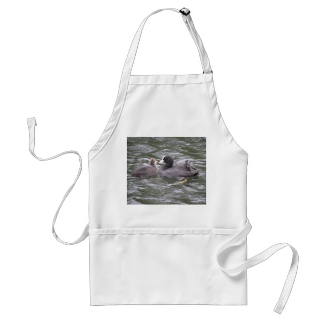 Coot Fütternd Hungerkind Schürze (Vorne)