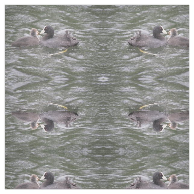 Coot Fütternd Hungerküken Gemustertes Tiergewebe Stoff (Muster)