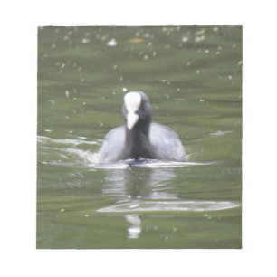 Coot Swimming Notepad Notizblock