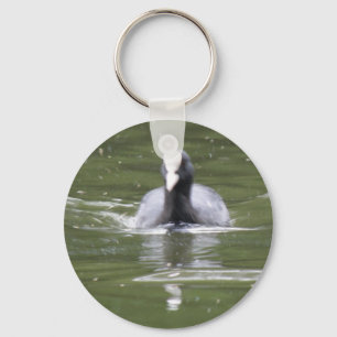 Coot Swimming Schlüsselanhänger