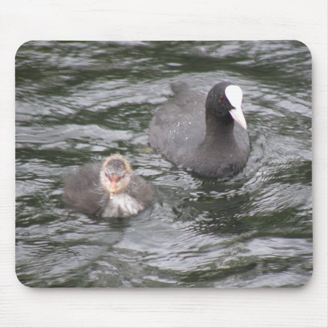Coot und Chick Mousepad (Vorne)