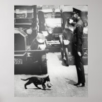 Cop Stops Traffic for Mama Cat