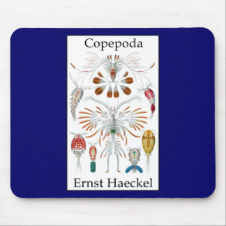 Copepoda durch Ernst Haeckel Mousepad