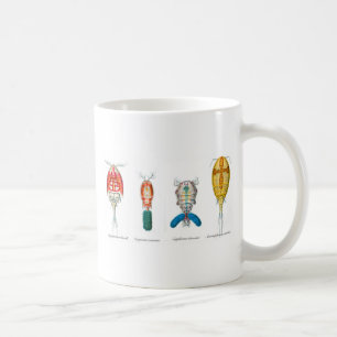 Copepods Kaffeetasse