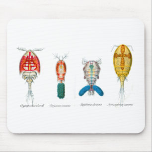 Copepods Mousepad