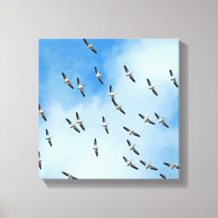 Copie blanche de toile d'oiseaux en vol