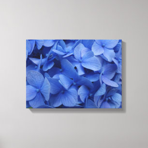 Copie bleue de toile d'hortensia