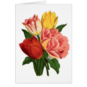 Copie botanique vintage - tulipes
