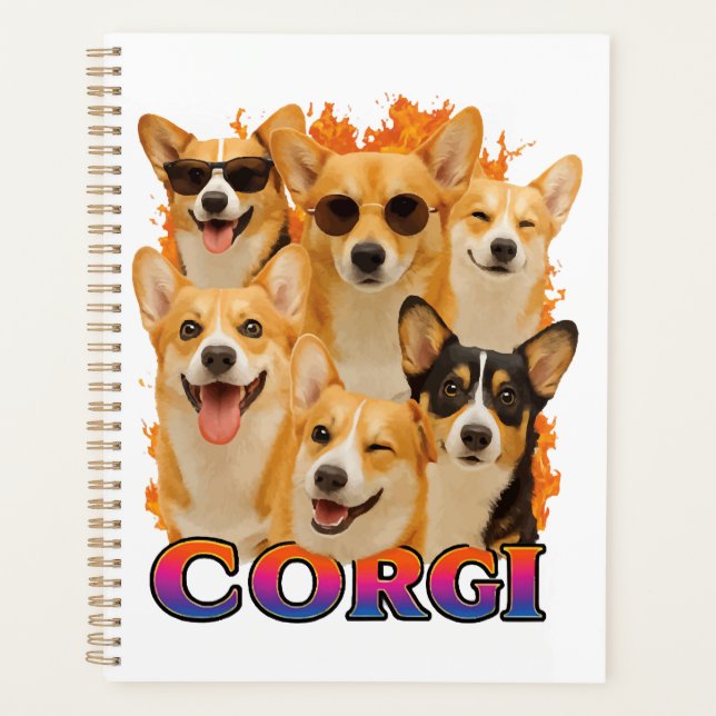 Copie Corgi (Devant)