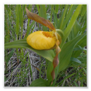 copie de la photo 6x6