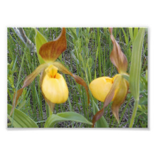 copie de la photo 7x5