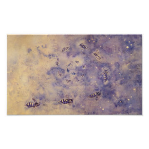 Copie de photo d'abeilles de l'espace