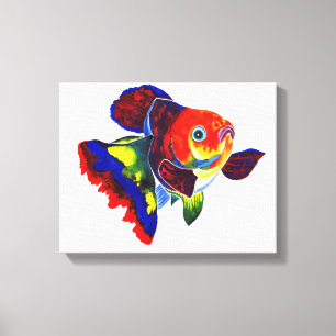 Copie de toile de poisson rouge de Veiltail de