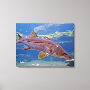 Copie de toile de poissons de Snook