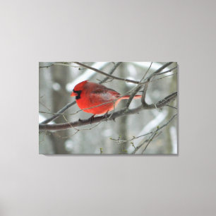 Copie de toile de vue d'oeil d'oiseau (cardinal