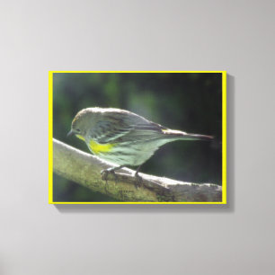 Copie de toile - oiseau jaune de Breasted sur la