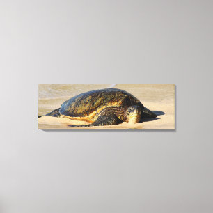 Copie hawaïenne de toile de tortue de mer