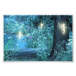 Copie magique de photo de la fée 6x4 de nuit