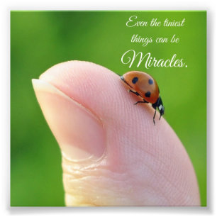 Copie minuscule de photo de carré de citation de